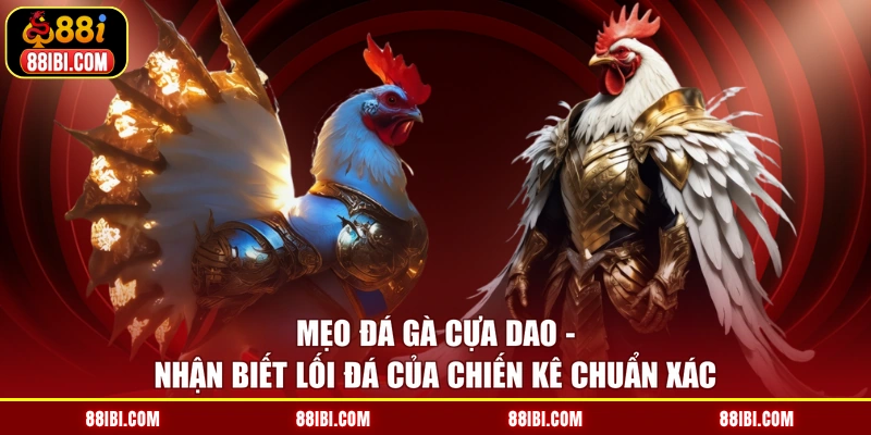 Mẹo Đá Gà Cựa Dao - Nhận Biết Lối Đá Của Chiến Kê Chuẩn Xác