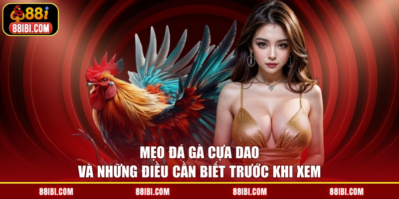 Mẹo đá gà cựa dao và những điều cần biết trước khi xem