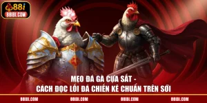 Mẹo Đá Gà Cựa Sắt - Cách Đọc Lối Đá Chiến Kê Chuẩn Trên Sới