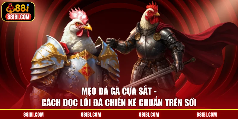 Mẹo Đá Gà Cựa Sắt - Cách Đọc Lối Đá Chiến Kê Chuẩn Trên Sới