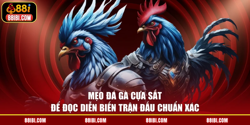 Mẹo đá gà cựa sắt để đọc diễn biến trận đấu chuẩn xác
