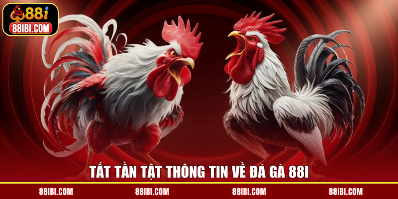 Tất tần tật thông tin về đá gà 88I